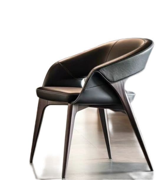 Dining Chair Collection 22